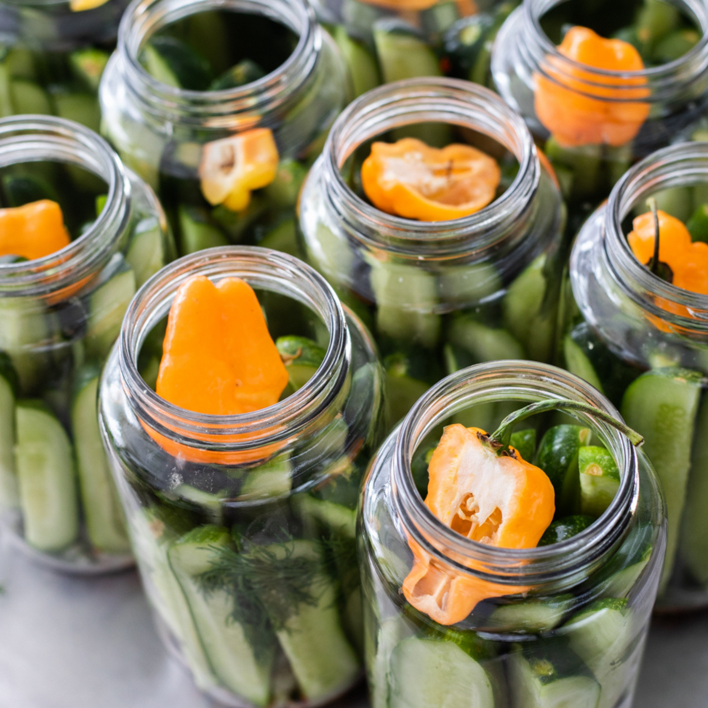 Habanero Dill Pickles
