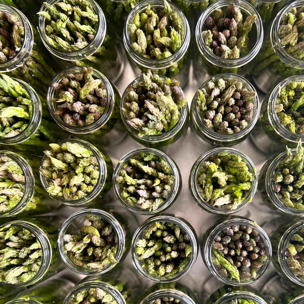 Fresh, Crunchy, Sour, Spicy & Sweet Pickles | Fishtown Pickle Project